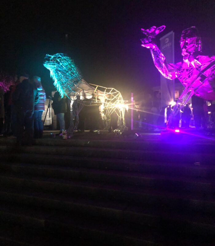 WhatsApp Image 2026-08-18 at 12.24.24 (1)